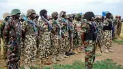 Troops Arrest Arms Courier, Recover 53 Rustled Cattle in North-West