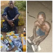 Troops Arrest Two Suspected ISWAP Informants in Borno State Operations