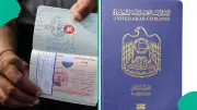 UAE Suspends Visas for 3 African Nations Over Ebola Concerns