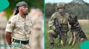 UK Army Reveals Annual Salaries for Dog Handler, Vet Nurse, AC Fitter