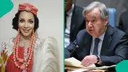 UN Careers Portal Opens New Job Opportunities for Nigerians