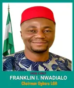 US court sentences Anambra LG chairman to 5 years for $3.5m romance scam