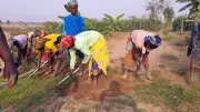 Women Farmers: Unsung Heroes of Agrifood Systems and Food Security