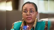 Xenophobia Backlash Hurts South African Artistes' Gigs, Says Minister