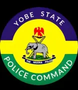 Yobe Police Arrest Man for Defiling 8-Year-Old Sister