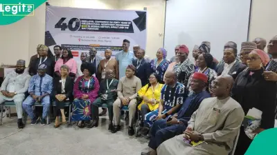 40 Years After SAP, Experts Call for Developmental State Model in Nigeria