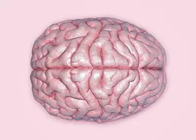 45% of Dementia Cases Could Be Prevented, Says WHO Report