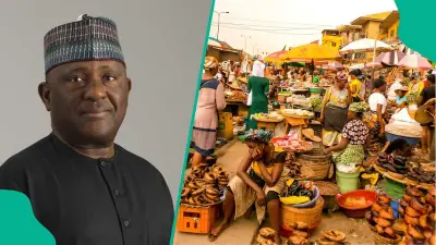 BUA Promises Cheaper Food, Set to Become Nigeria's Biggest Food Company