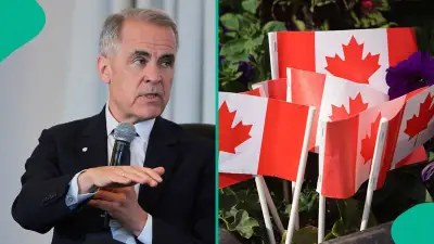 Canada Releases 6 Key Steps for Study Visa Permit in 2026