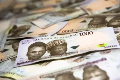 CBN: Currency in Circulation Falls to N5.52 Trillion in June 2026
