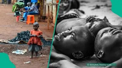 Cholera Outbreak Kills 9 ISWAP Terrorists in Borno State