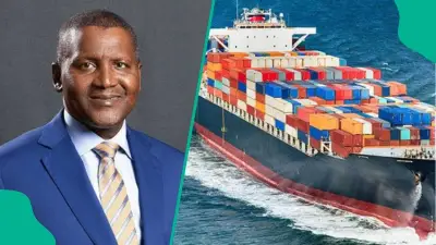 Dangote: Private Investment in Fisheries Can Create 500,000 Jobs in Nigeria