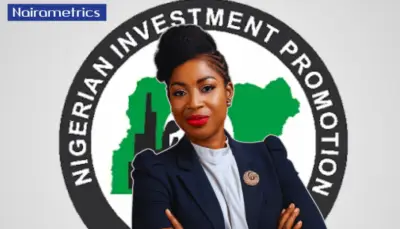 Ex-McKinsey Partner Eyitope Kola-Oyeneyin Appointed NIPC Chair