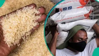 Experts Warn of Rice and Tomato Scarcity in Nigeria Within 3 Months