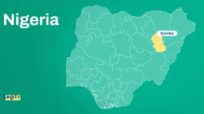 Fact Check: Video of Men Cooking in Gombe Not Bandits Cooking Human Flesh