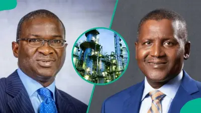 Fashola Reveals Land Price Cut That Kept Dangote Refinery in Lagos