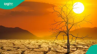 France Records 5,764 Excess Deaths During June 2026 Heat Wave