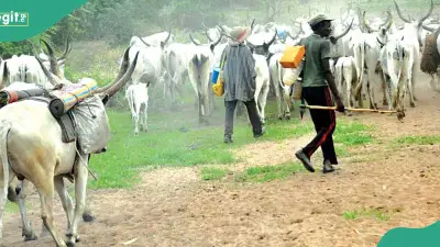 Fresh Attack: Armed Herdsmen Kill 15 in Benue Communities