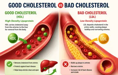 High Cholesterol: Silent Danger You Must Know About