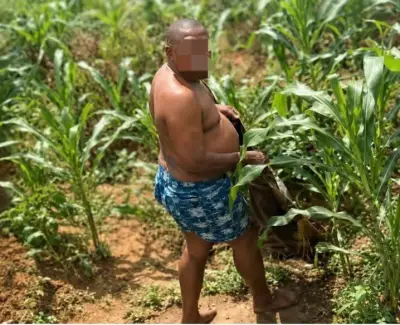 Lecturer Flees Naked After Students Catch Him Trying to Sleep With Student