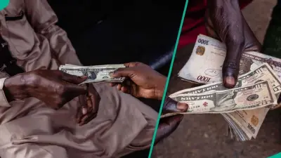 Naira Falls Against Dollar, Pound, Euro in Official Market on July 28
