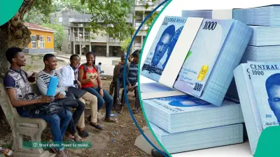 NANS Lists 41 Institutions Yet to Refund Students' NELFUND Payments