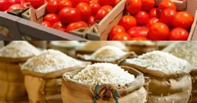 Nigeria faces rice, tomato shortages in 3 months — OTACCWA