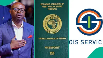 Nigeria Visa Services in US: OIS Explains Temporary Pause