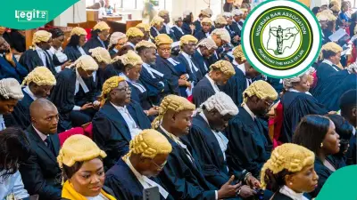 Nigeria's Top Legal Institutions Now All Led by Women for First Time