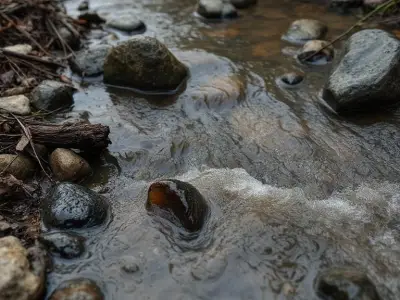 Plateau State Records 441 Cholera Cases, 14 Deaths Since June