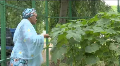 Remi Tinubu Shows Vegetables Harvested from Aso Villa Garden