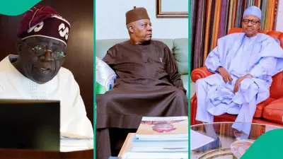 Shettima: Criticising Buhari Angers Tinubu Most
