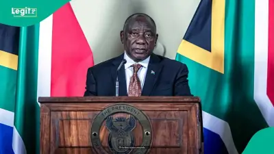 South Africa Releases Official Fees for 6 Visa Types in 2026, Converted to Naira