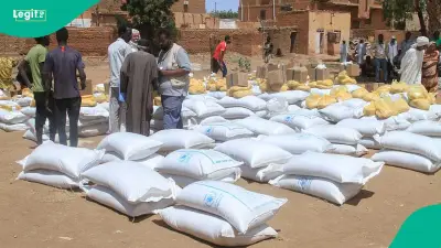 Sudan faces catastrophic hunger levels, World Food Programme warns