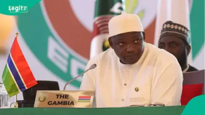 The Gambia Lists 15 African Countries for Visa-Free Entry in 2026