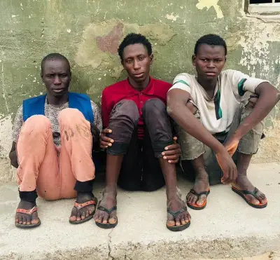 Three Suspected ISWAP Fighters Surrender to Troops in Borno