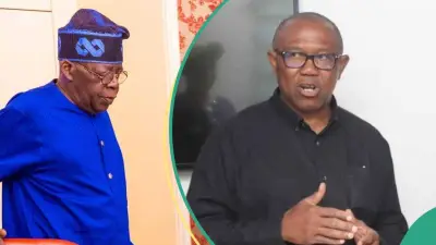 Tinubu's Presidency Fires Back at Peter Obi Over Death Comment