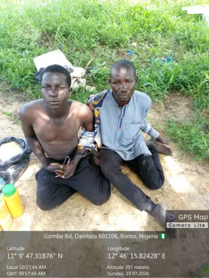 Troops Arrest Two Brothers Suspected ISWAP Logistics Suppliers in Borno