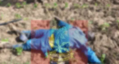 Troops foil terrorist attacks, neutralize commander in Zamfara, Katsina