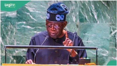 UN Did Not Pass Vote of No Confidence on Tinubu's Government, Fact-Checkers Confirm