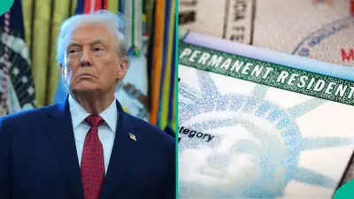 US Publishes 3 Employment-Based Green Card Pathways, Explains Eligibility