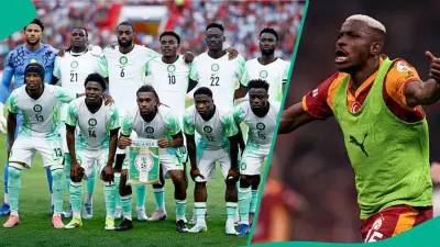 Victor Osimhen Recommends Emmanuel Fernandez to Galatasaray Over Chukwueze