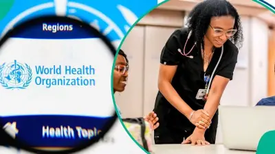 WHO Opens 2026 Paid Internship for Nigerians with Monthly Stipend