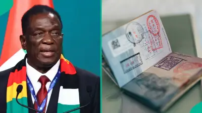Zimbabwe Visa on Arrival 2026: Full List of African Countries Released