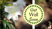 120 Get Well Soon Messages for Him: Romantic and Funny Wishes