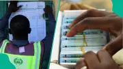 2026 Voter Registration: Kano Leads with 465,964, Top 10 States Revealed