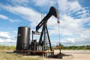 31 Companies Win 37 Oil Blocks in Nigeria's 2025 Licensing Round