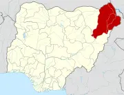 35 students still missing after Borno school attack: councillor