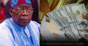 7 Reasons Tinubu's Government Keeps Borrowing Despite Revenue Surge