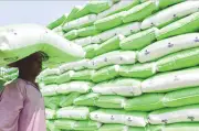 8,000 bags of Tinubu fertiliser missing in Taraba, farmers allege